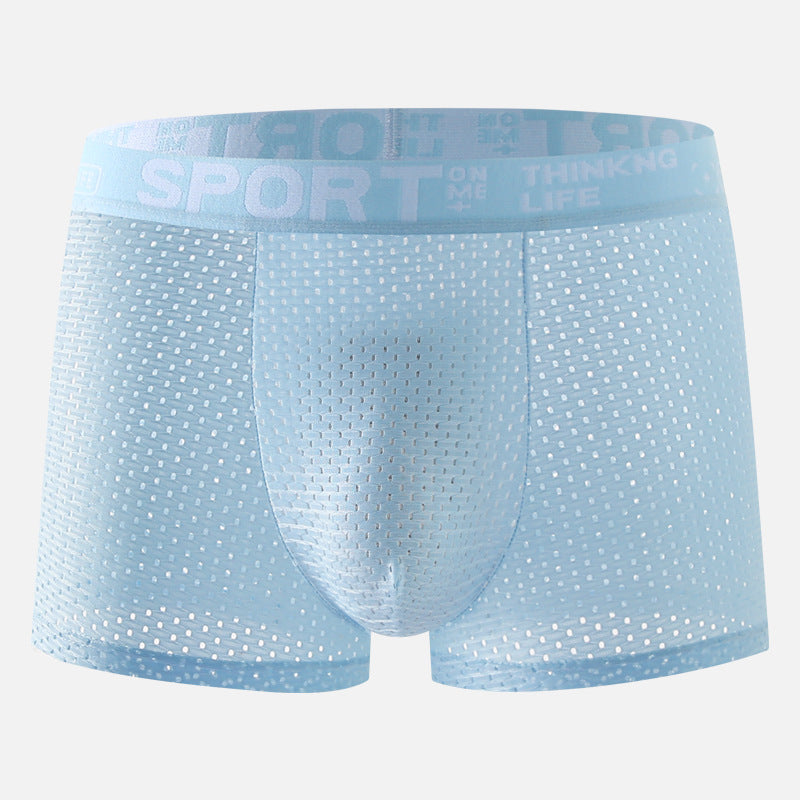 Sous-vêtements Hommes Ice Silk Mesh Boxers