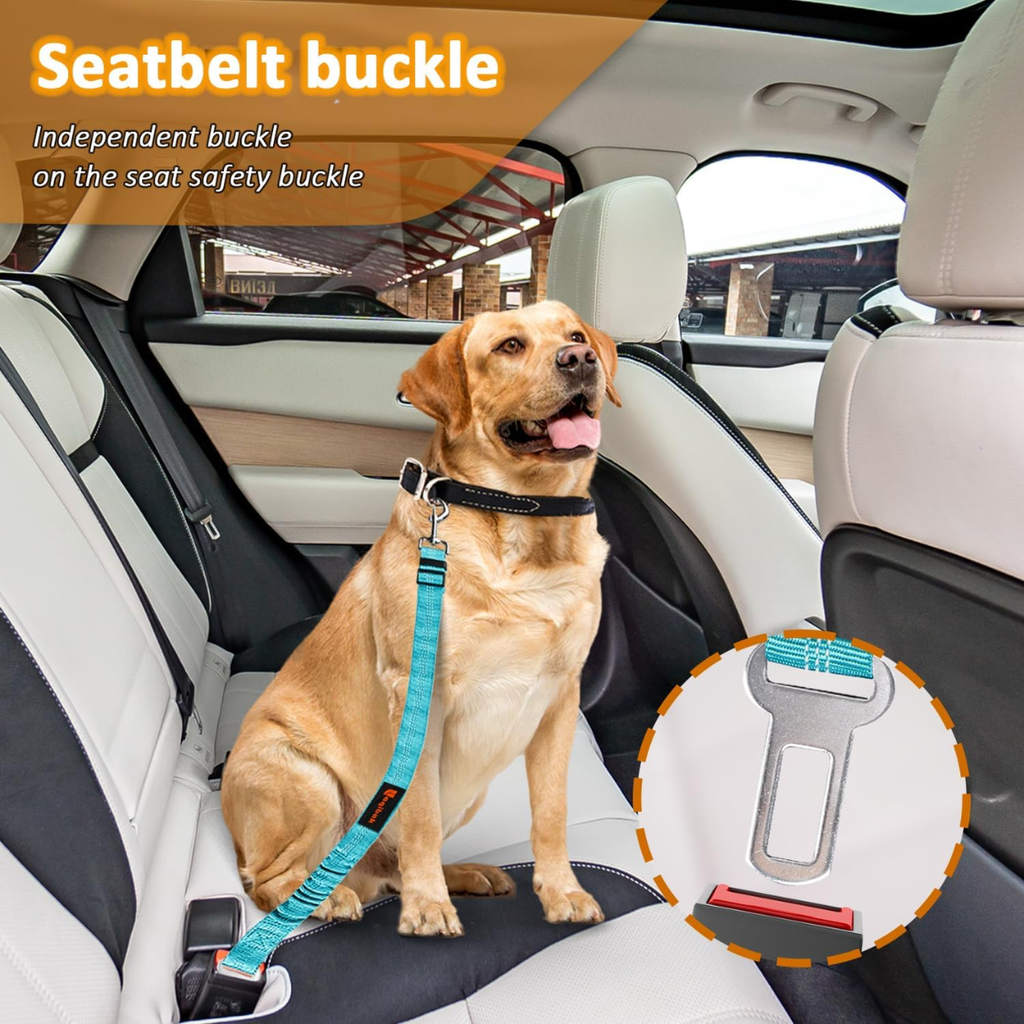 Ceinture de sécurité pour chien 3 en 1, attache voiture rétractable
