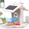 Alimentation intelligente 160 degrés large angle AI identifier les oiseaux