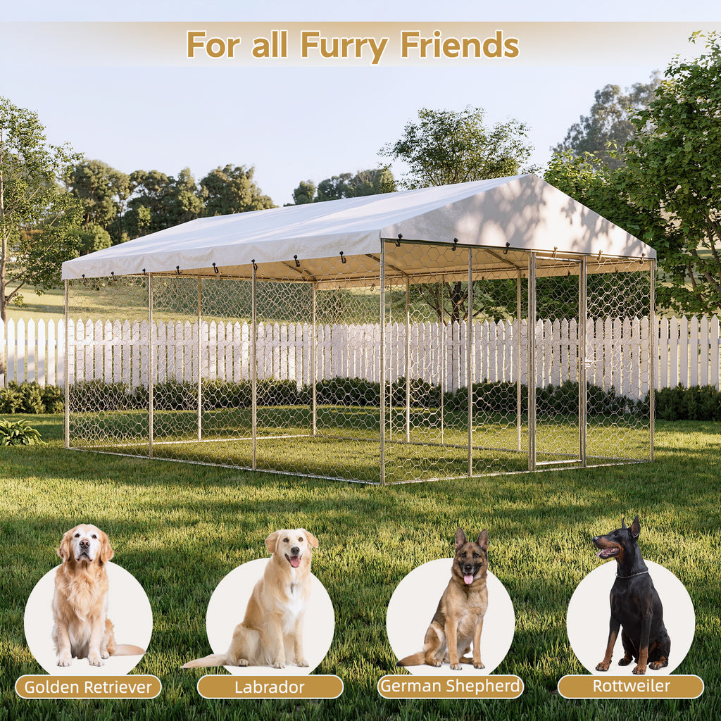 15x10 FT Grand Kennel de chien extérieur avec Canopy