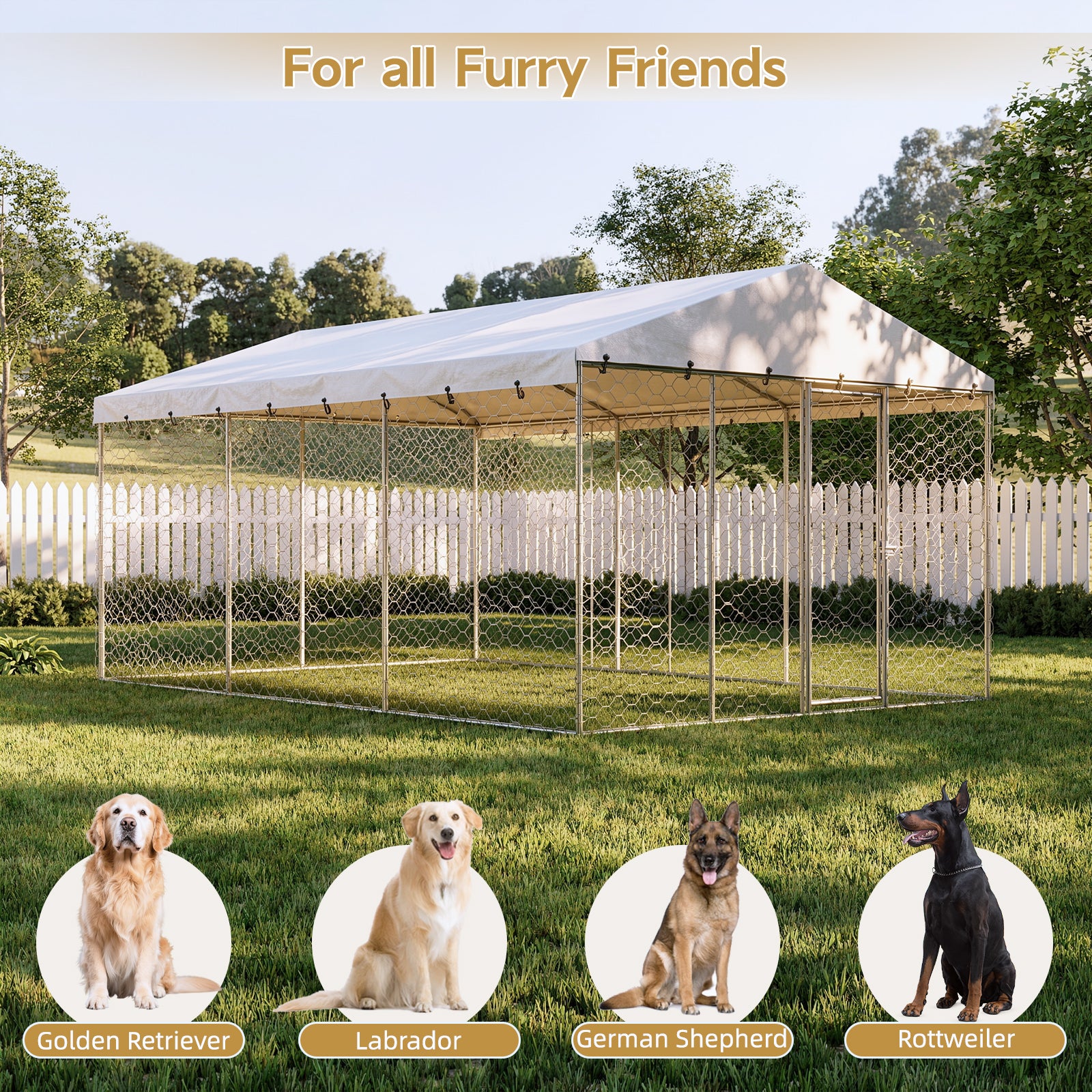 15x10 FT Grand Kennel de chien extérieur avec Canopy