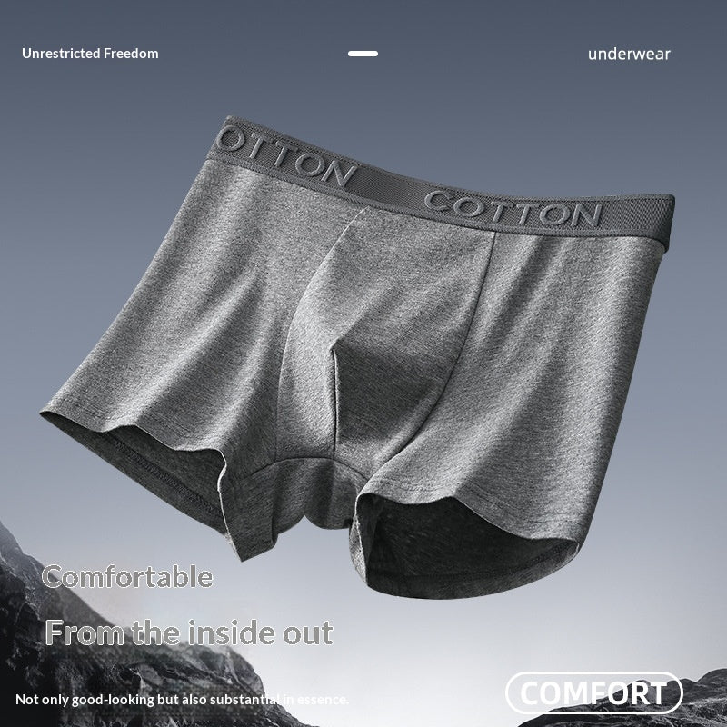 Boxer en coton antibactérien haut de gamme pour hommes