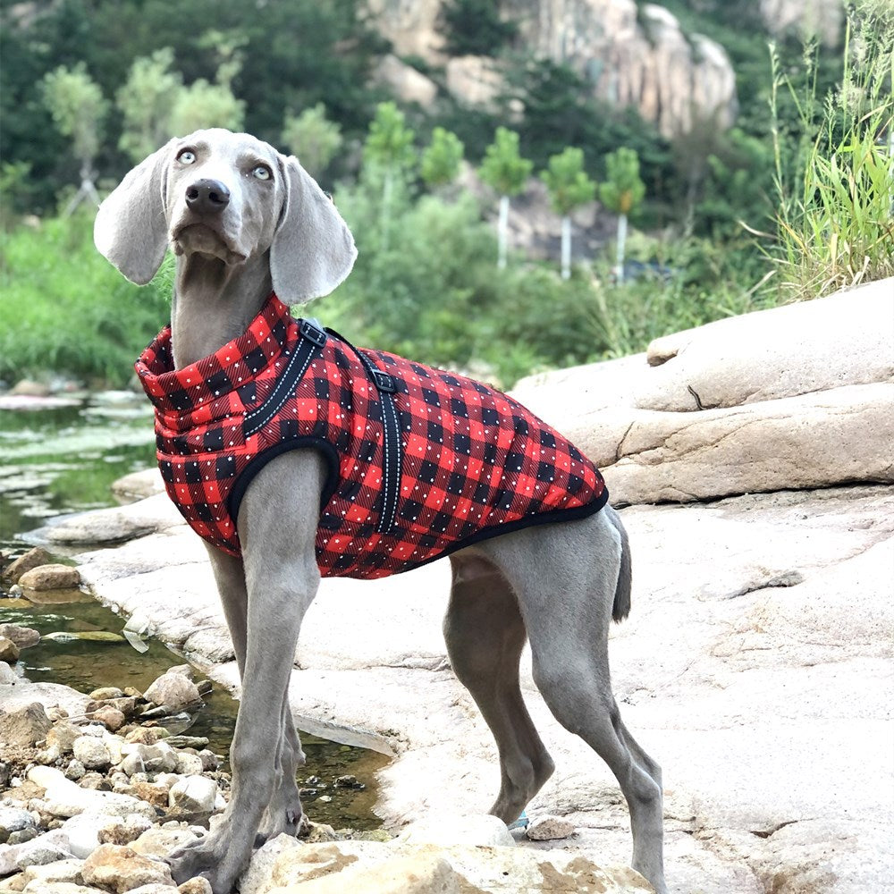 Manteau réfléchissant en coton