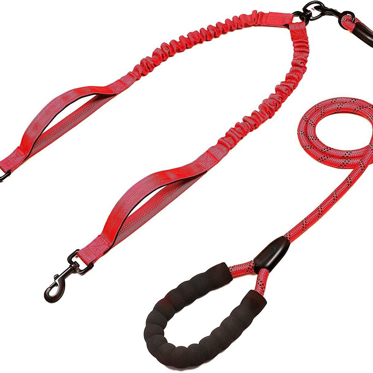 Feuille double pour animaux de compagnie