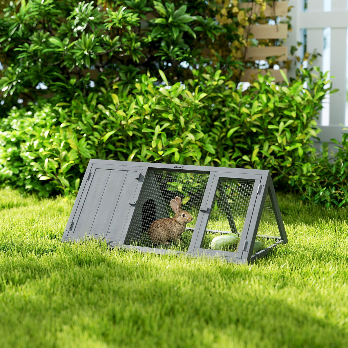Lapin Hutch