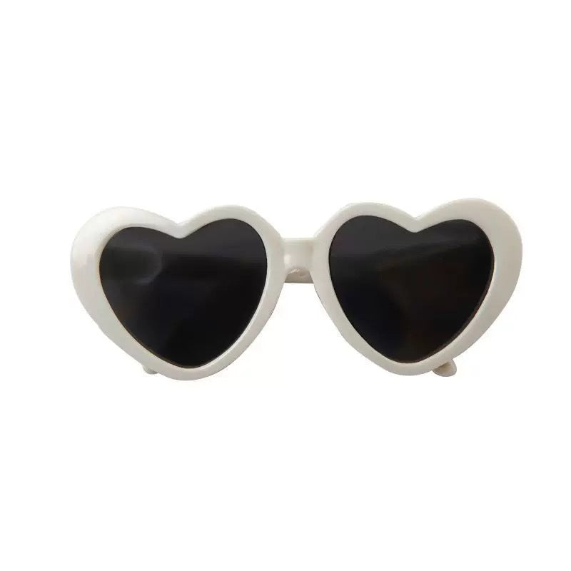 Lunettes de soleil pour animaux de compagnie