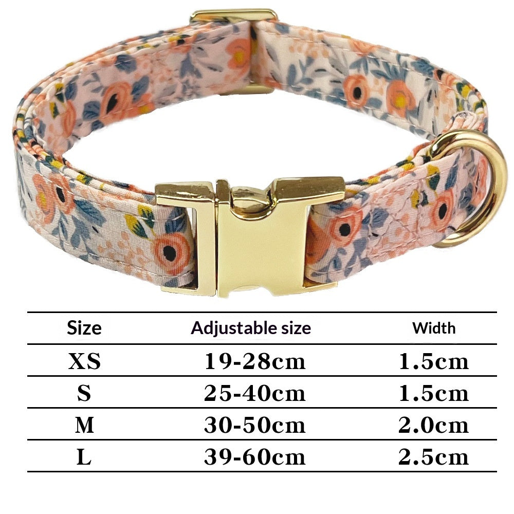 Collier gravé sur chien
