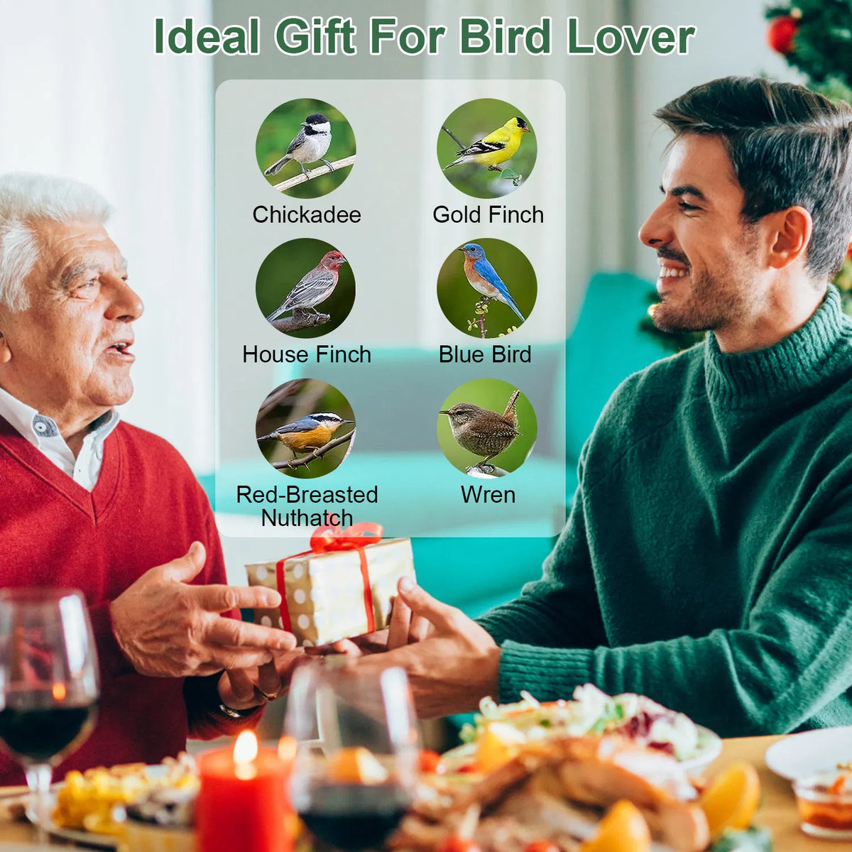 Cadeau de nourrice aux oiseaux sauvages pour les amoureux d'oiseaux