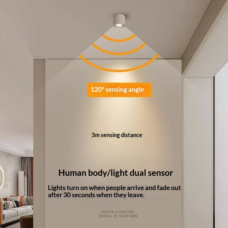 LED Smart Downlight avec induction du corps humain