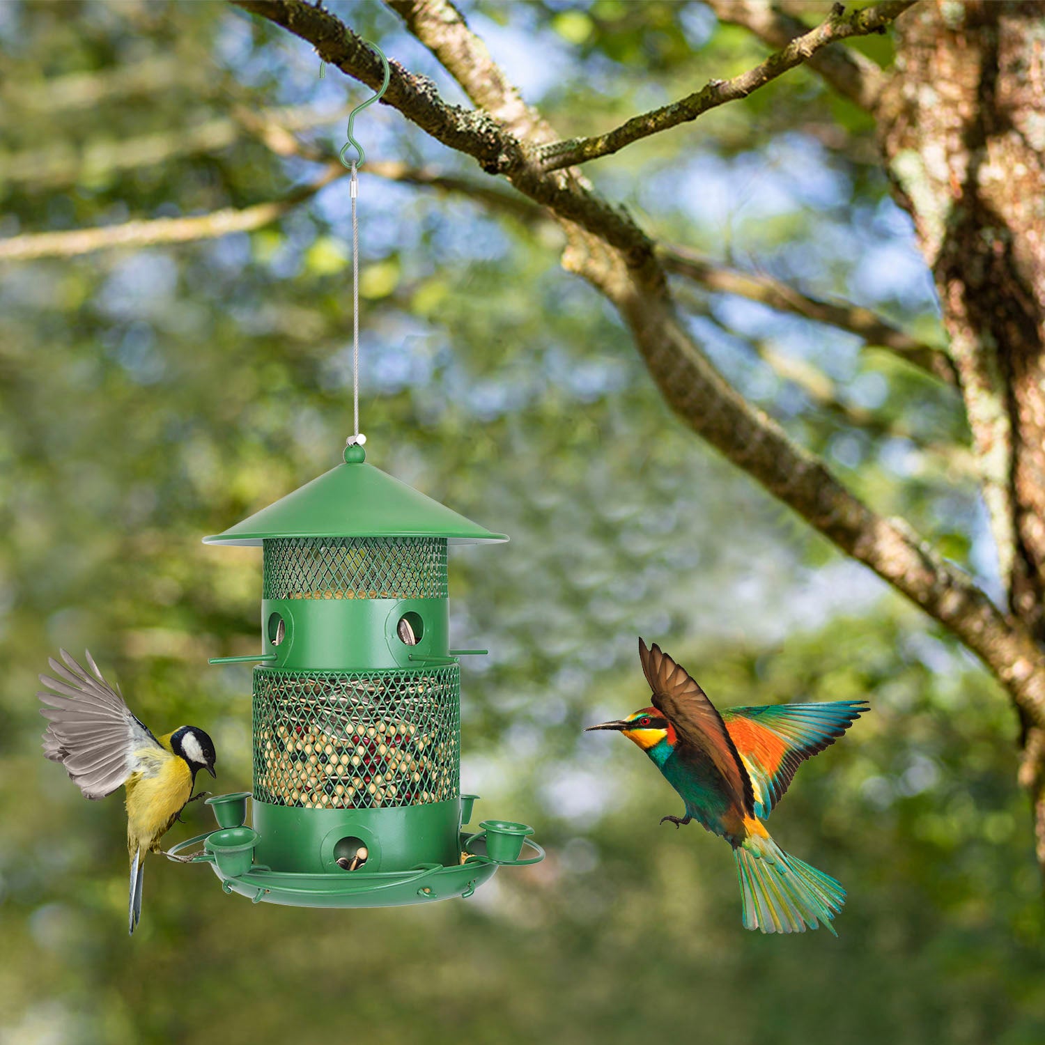 1Pc Wild Bird Feeder Squirrel-Proof Chew-Proof Metal Bird Seed Feeder Outdoor Hanging Bird