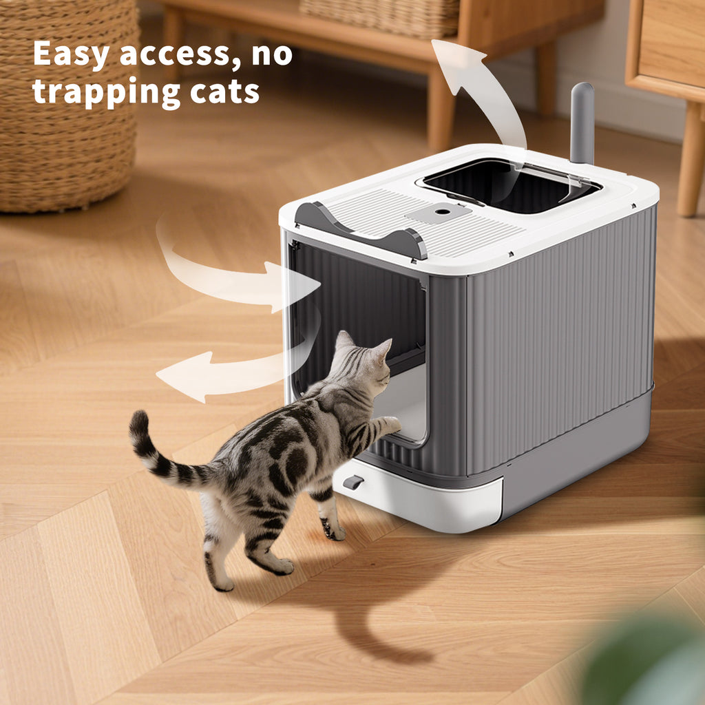 Un seul auto-remorque..