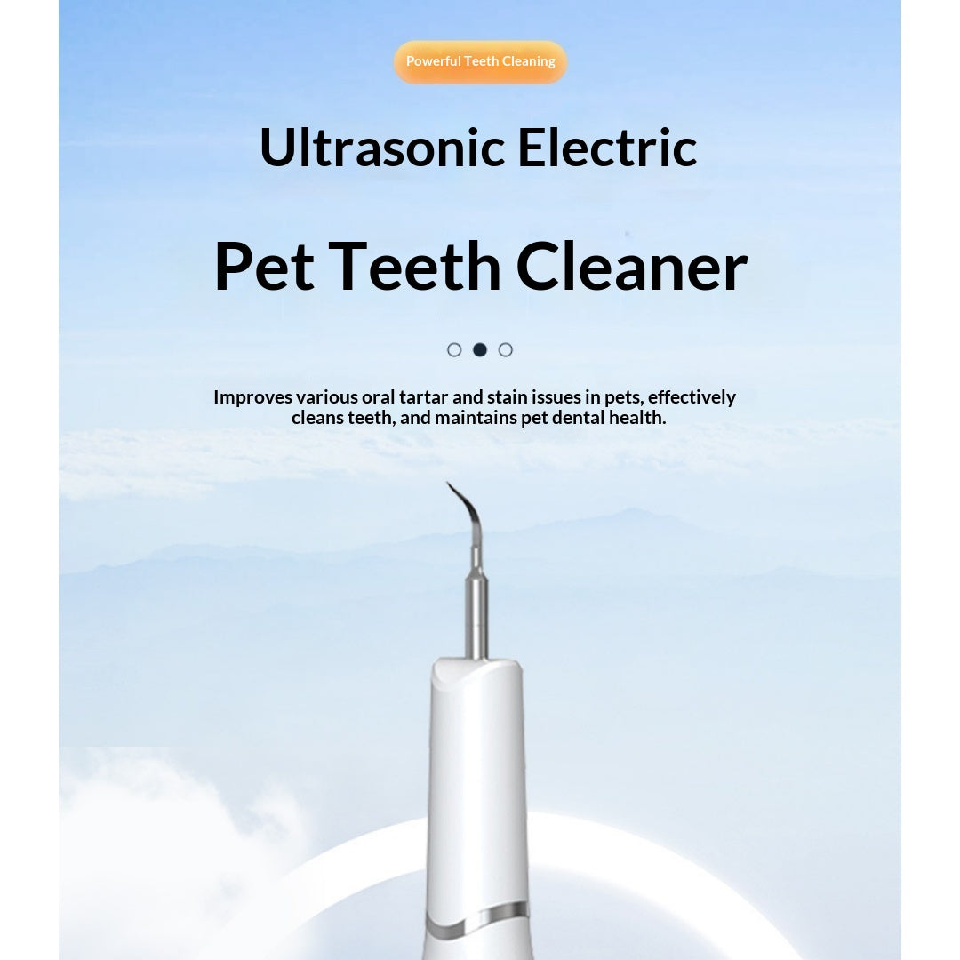 Nettoyeur dentaire ultrasonore de chat