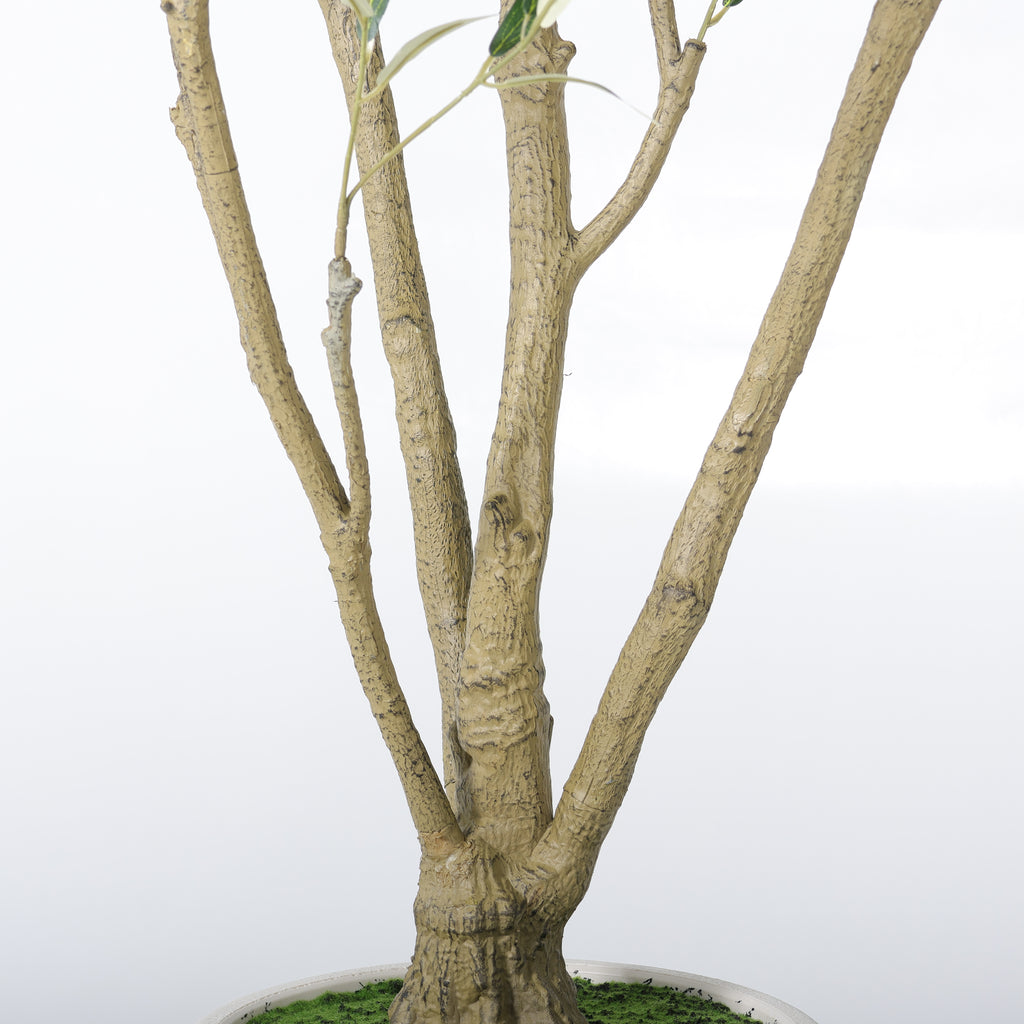 8FT Arbre d'olivier artificiel avec grand planteur blanc décoratif