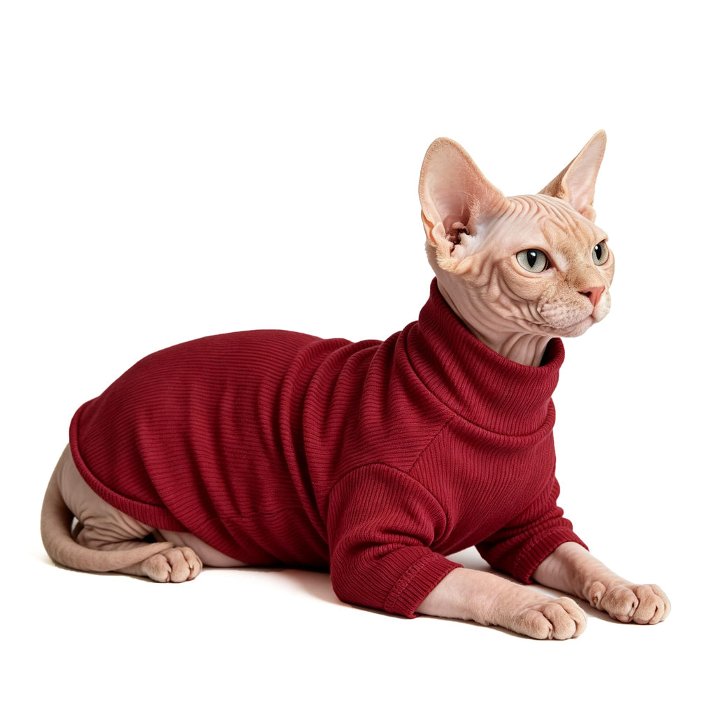 Sphynx Chats Vêtements Chats sans cheveux Chemise Col tortue Sphynx Vêtements Kitten Chandails T-shirts