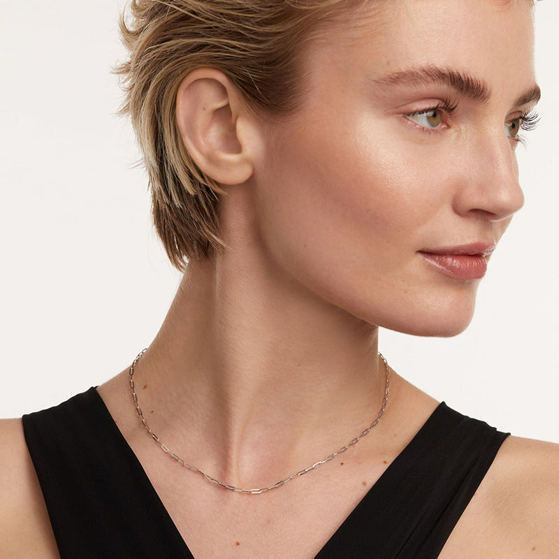 S925 Collier Argent Internet-célébrité StyleMinimalist Chaîne en orLight LuxuryNicheHigh-en