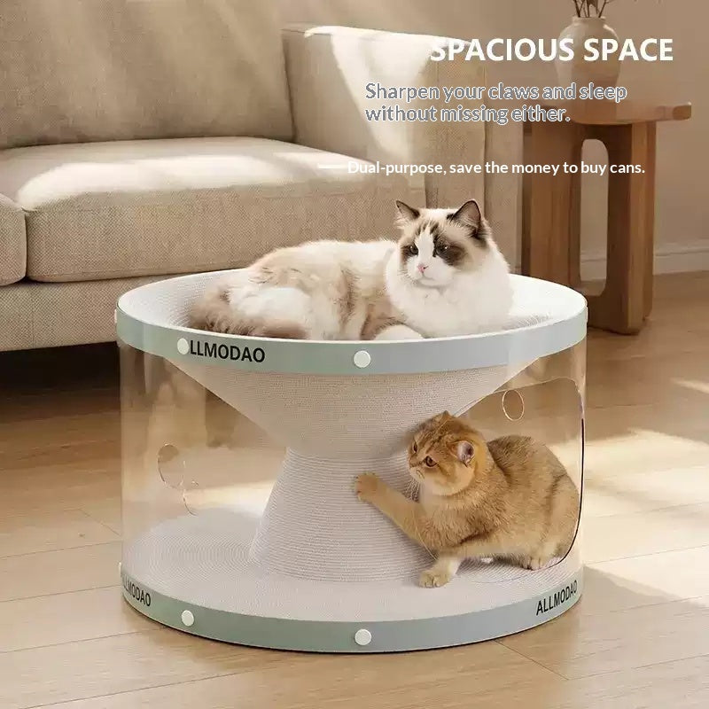 Tout-en-un Sans installation Chat Scratcher Tunnel Jouet