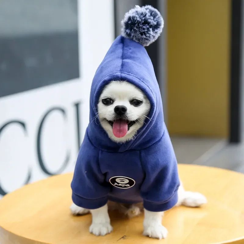 Animaux de compagnie Cat Vêtements Fleece Hairball à capuche Veste Hiver Kitty Petits chiens moyens Chats