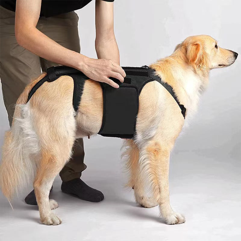 Veste de secours pour chiens de compagnie