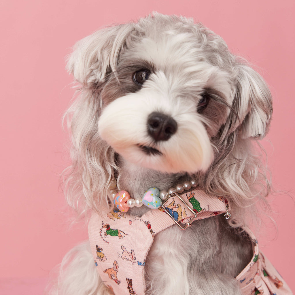 Photo Concave Shape Dog Accessories Pet Supplies Perles Ornements
