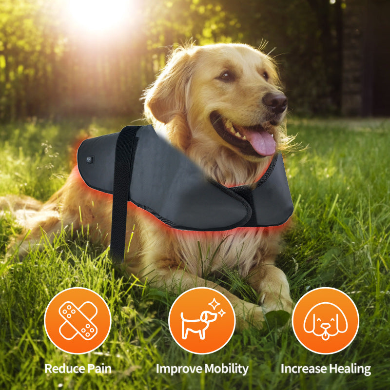 L Size Pet Red Light Infrared Physiothérapie Instrument Chiens et chats Retour et Abdomen Inju