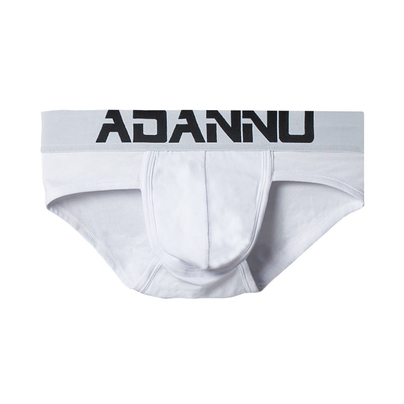 Slip homme Sexy Pure Cotton Confortable Simple Trendy Lettres Basse taille Respirant U Pou