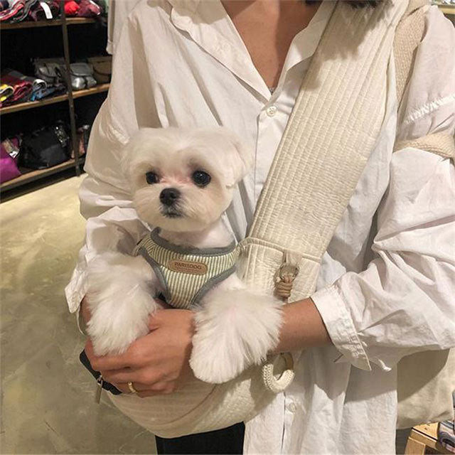 Sac à dos pour animaux de compagnie pour chats voyageant à l'extérieur