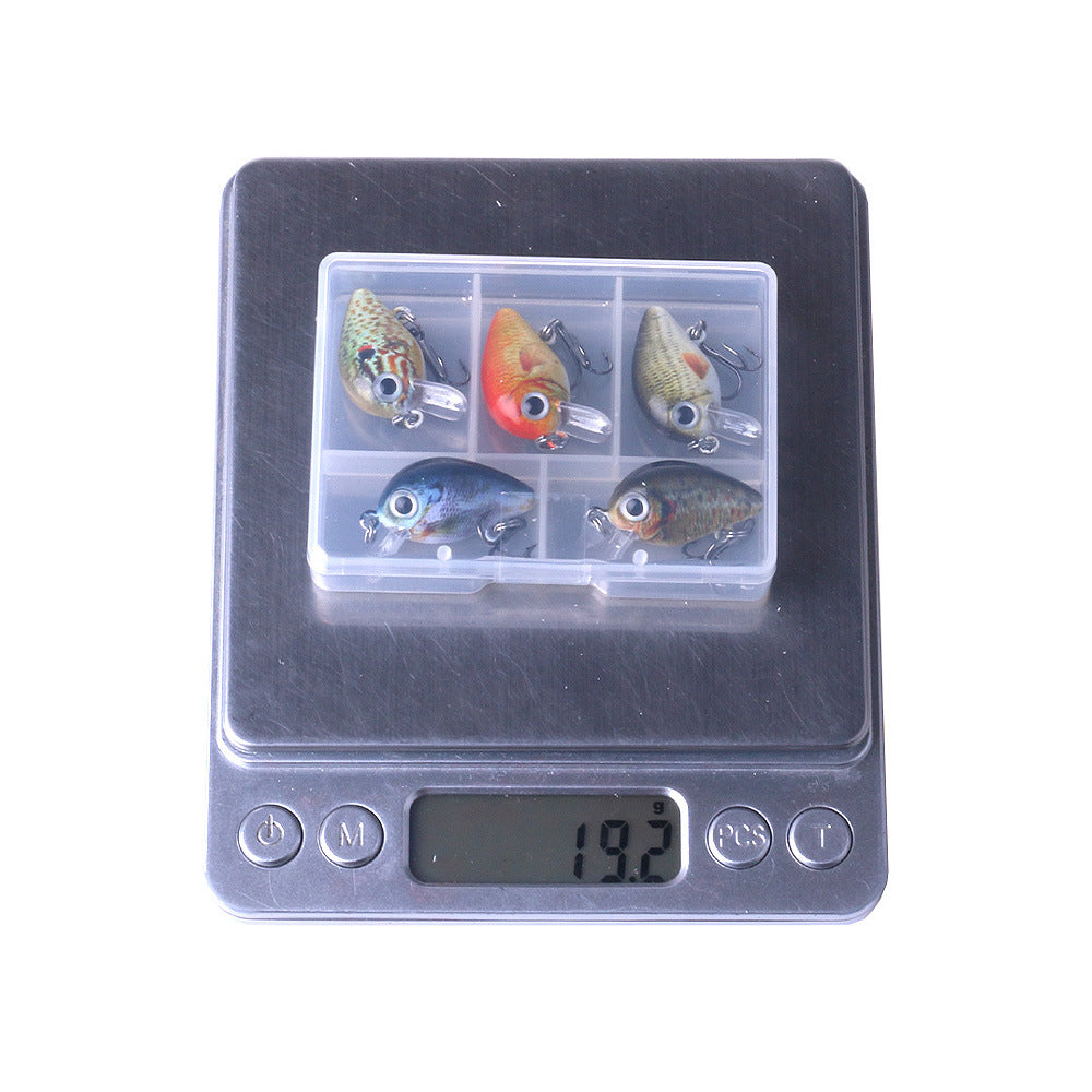 5 couleurs Lure Set 1,5G Mini Rock Lure Fishing Lure Box