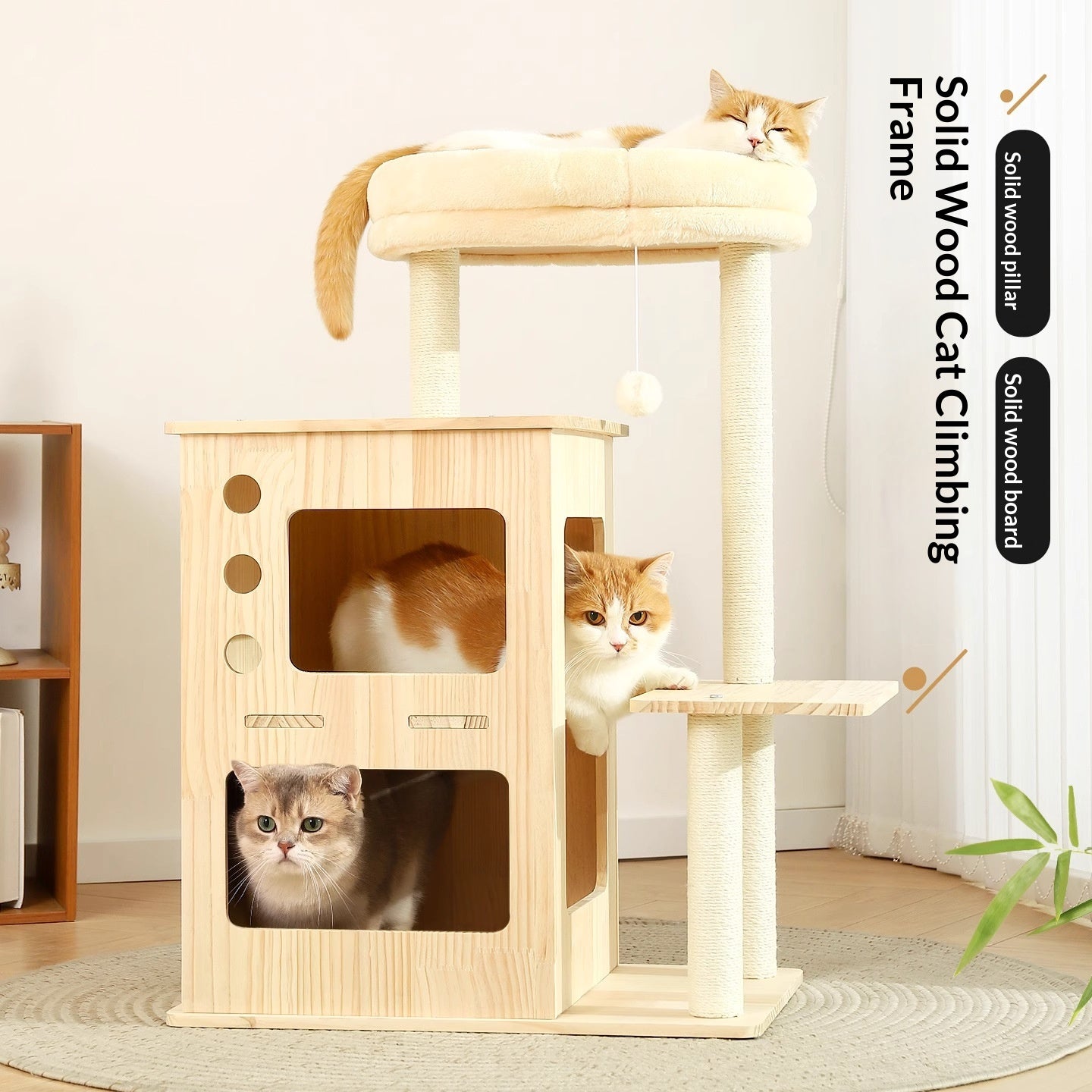 Arbre de chat en bois massif pour les petites maisons