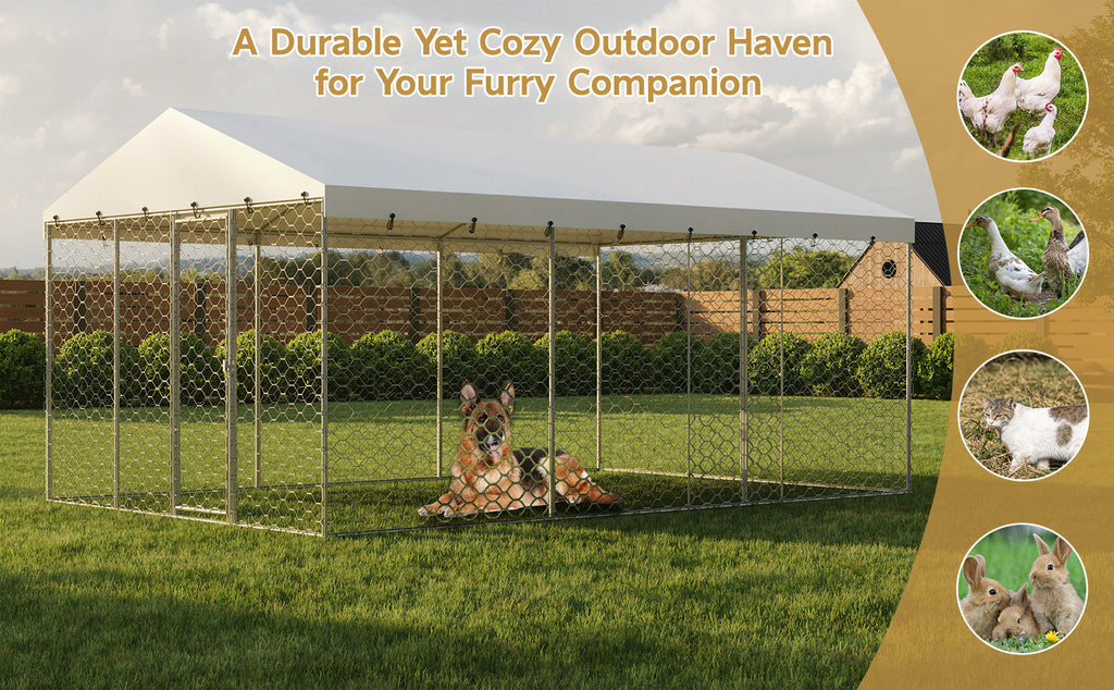 15x10 FT Grand Kennel de chien extérieur avec Canopy