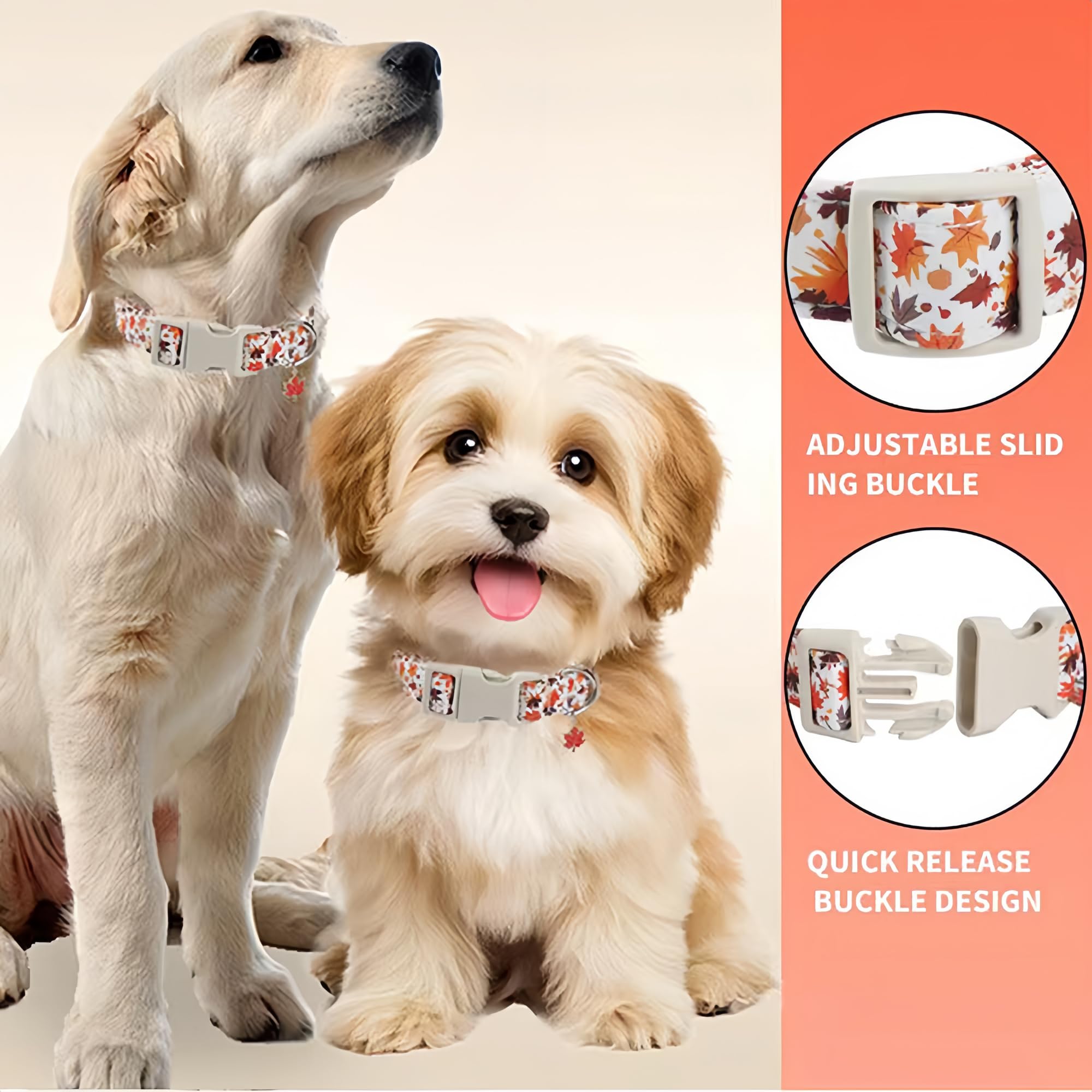 Collier de chien d'automne réglable avec charme Feuille d'érable - Collier de tissu souple durable pour petit moi