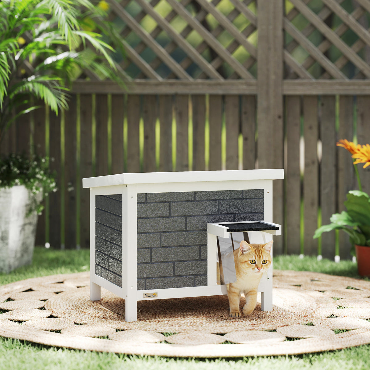 Maison de chat en plein air isolée avec toit ouvert