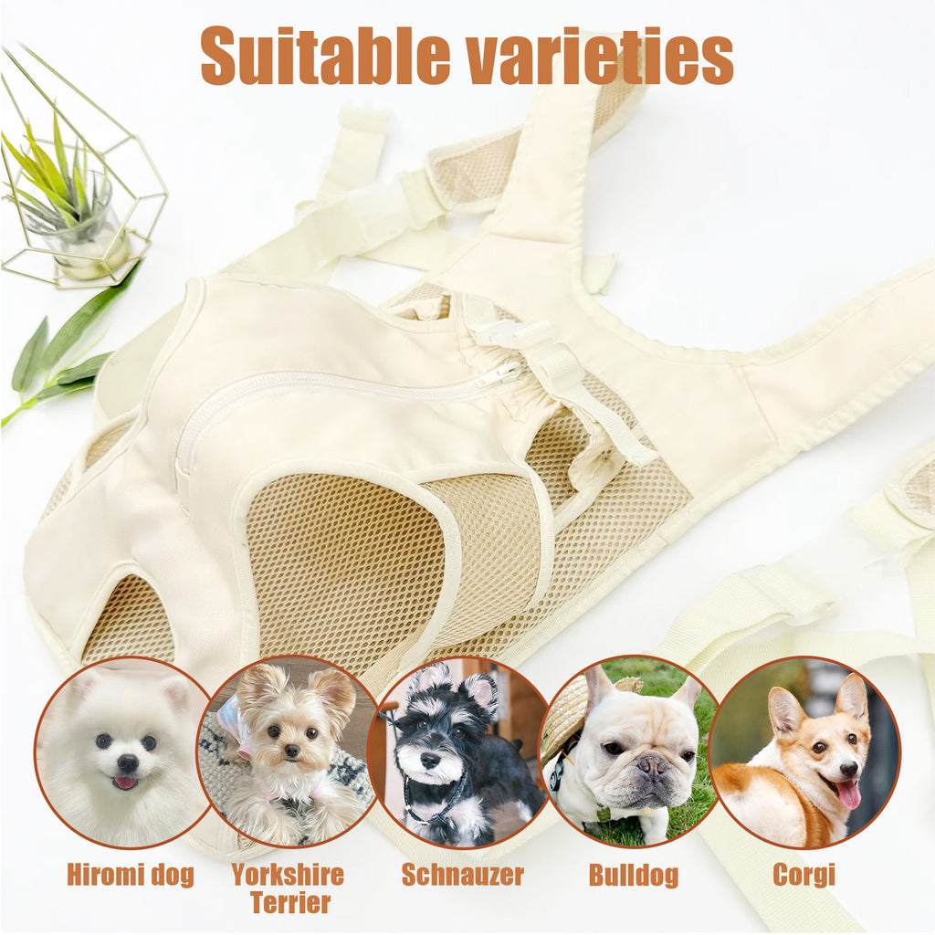 Portable Harnais de poitrine Transporteur pour animaux de compagnie de petite et moyenne taille