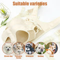 Portable Harnais de poitrine Transporteur pour animaux de compagnie de petite et moyenne taille