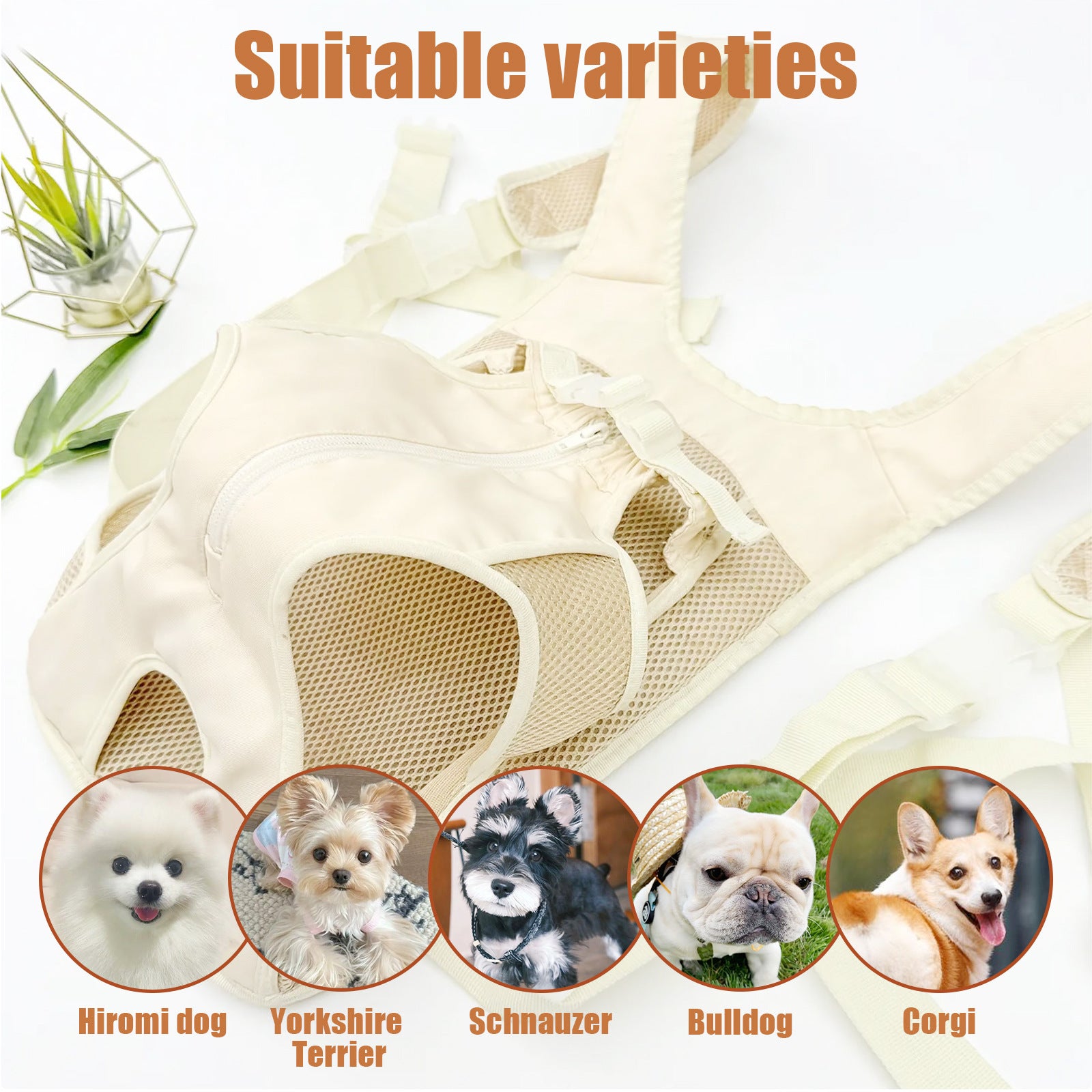 Portable Harnais de poitrine Transporteur pour animaux de compagnie de petite et moyenne taille
