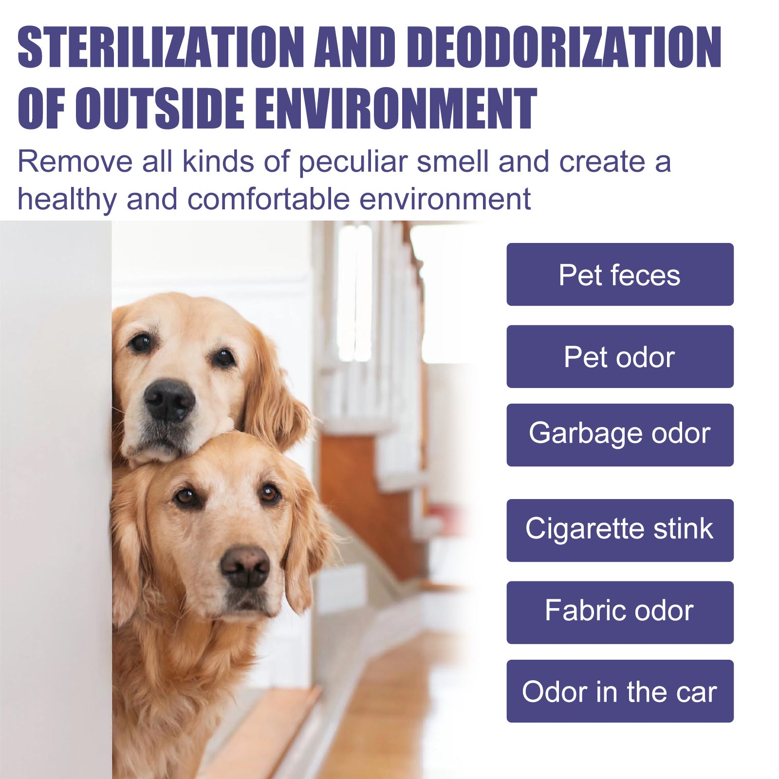 Vaporisateur de désodorisation pour chat et chien