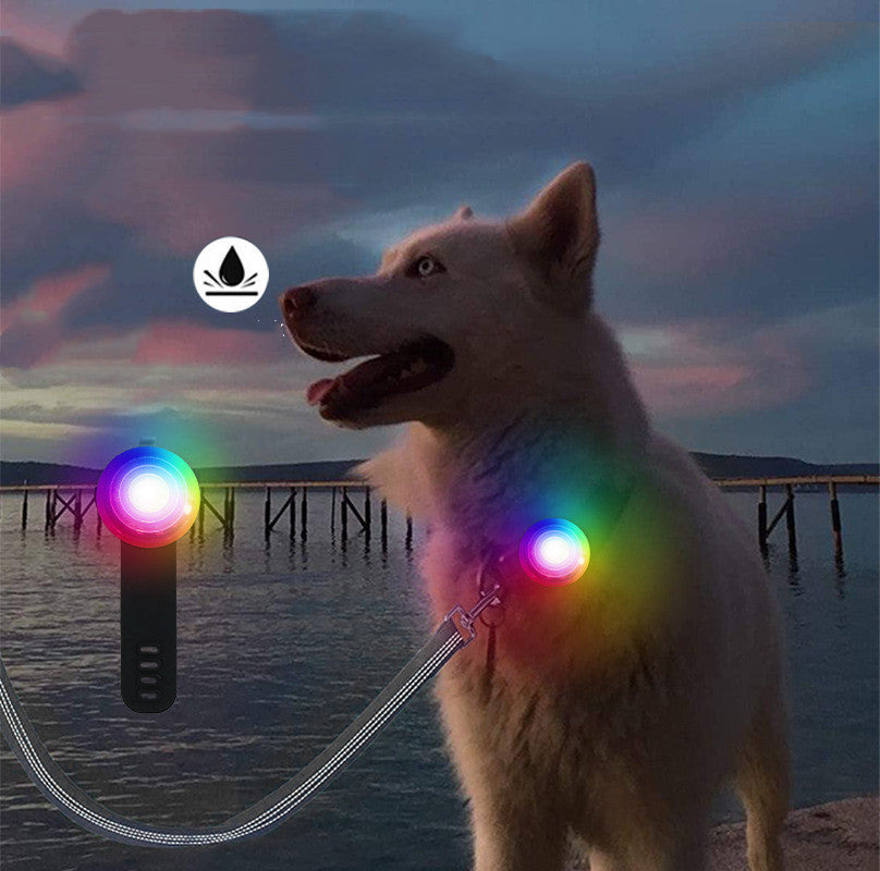 Regarder sangle charge animal pour prévenir la perte la nuit