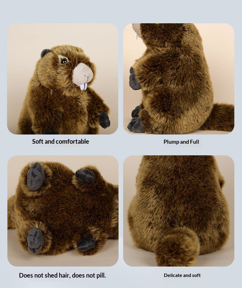 Super cute plush toy as a birthday gift