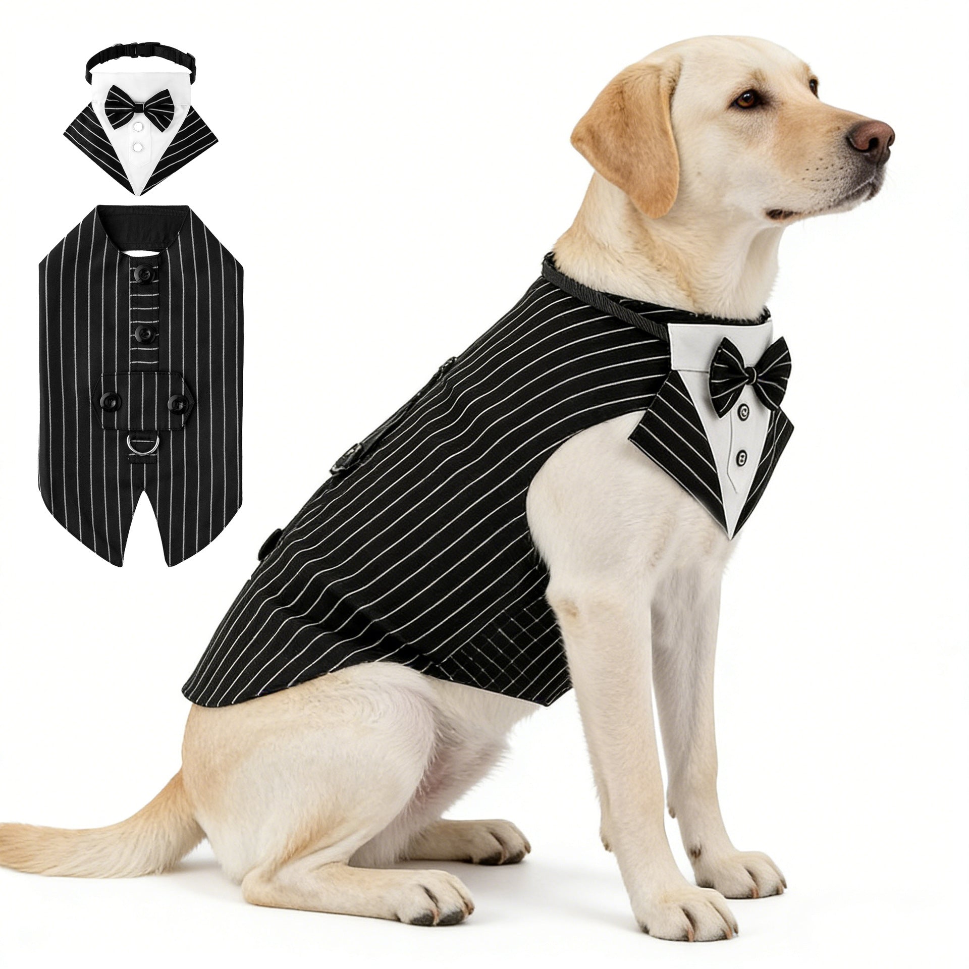 Ensemble de vêtements et d'écharpes pour animaux de compagnie entièrement créatifs