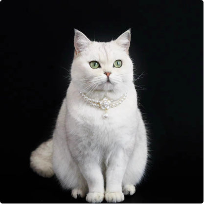 Cat Pet Bijoux eau pendentif collier de lapin