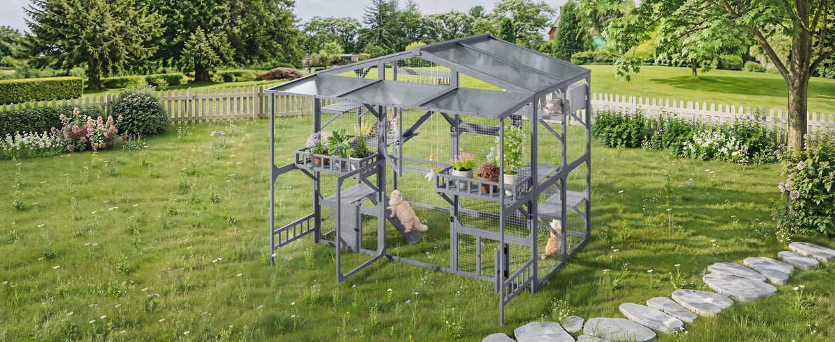 Grand Catio extérieur pour 6-10 Chats