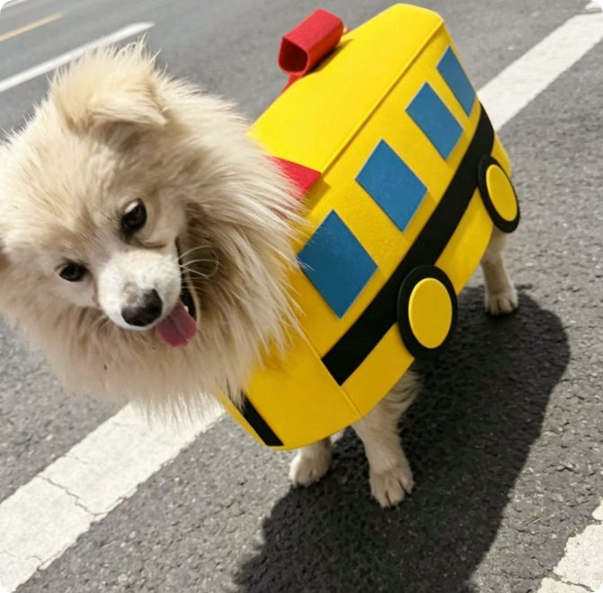 Vêtements pour animaux de compagnie