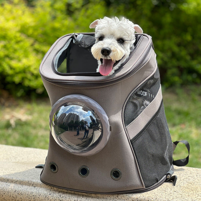 Portable pour chien et chat pour chiens de taille moyenne Style sac à dos