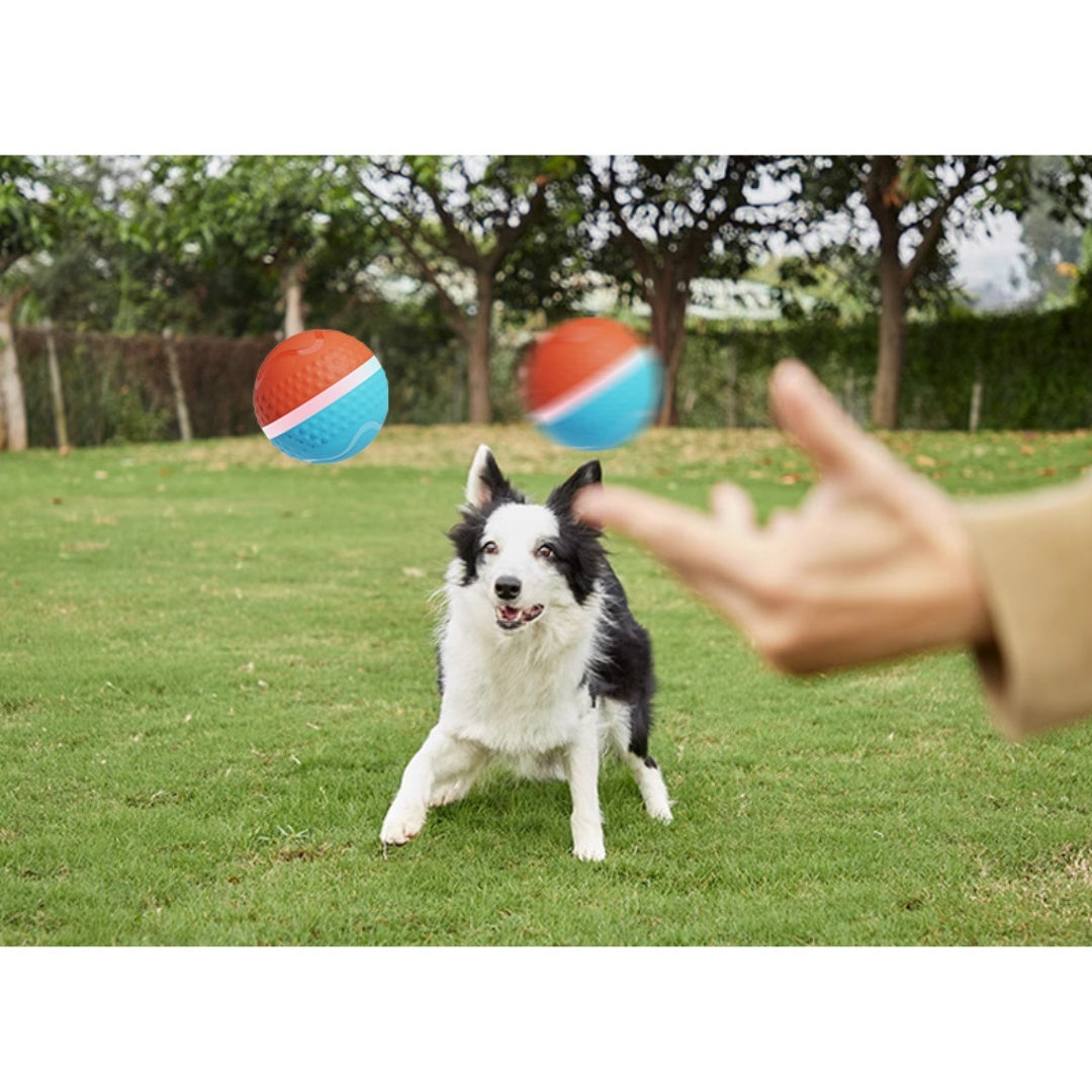 Jouet de chien de boule électrique lumineux et de chat