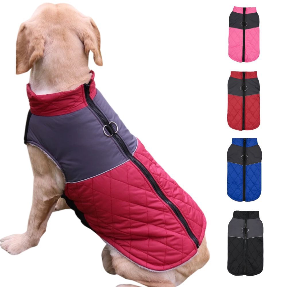 Chest Back Vêtements d'hiver et d'automne pour animaux de compagnie