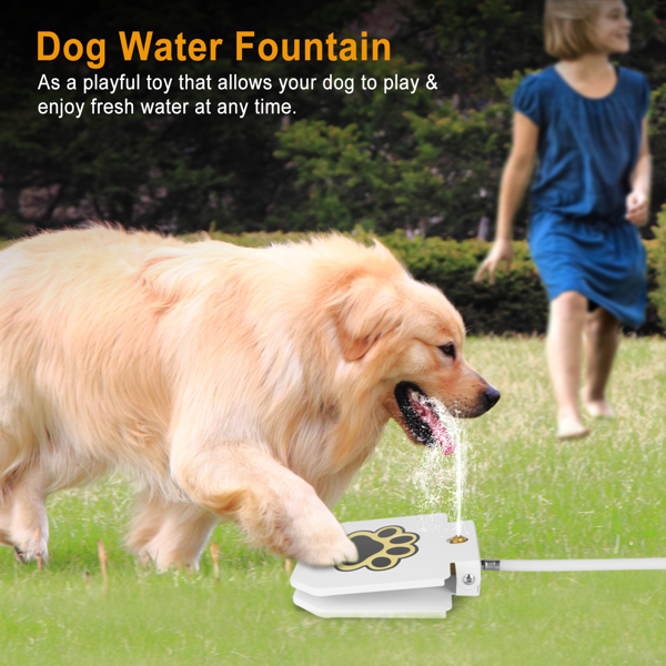 Fontaine d'eau pour chiens en plein air