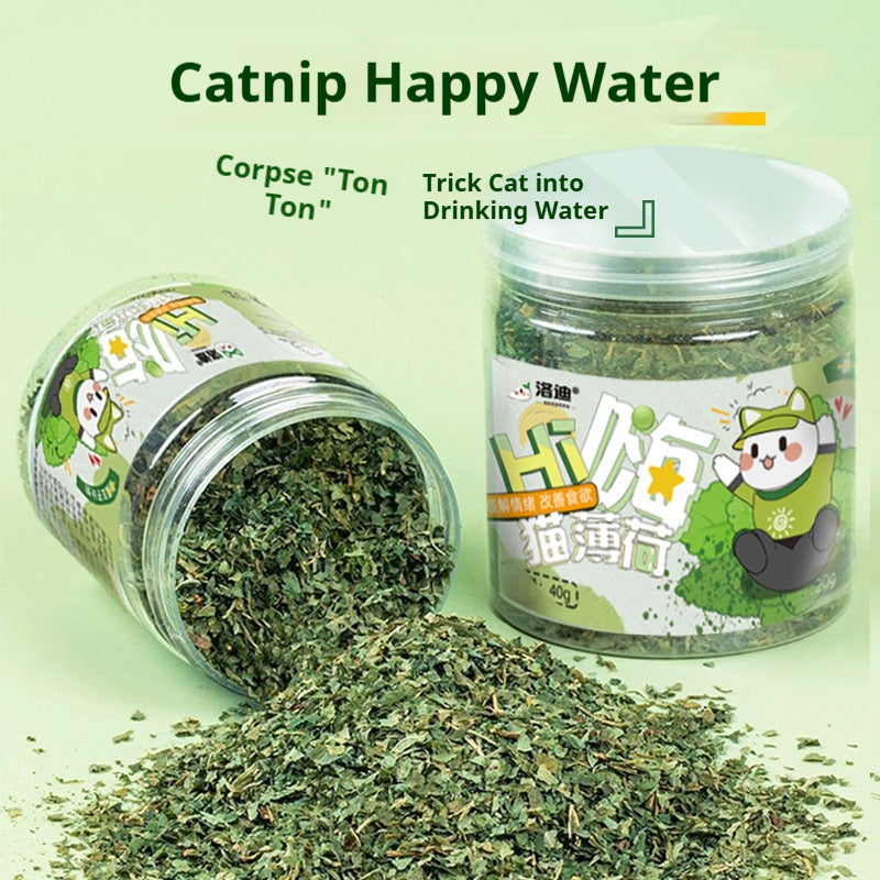 Chatnip Feuilles d'herbe de chat Traites de chat