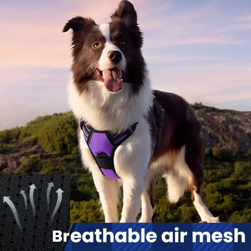 Harnais et jeu de laisses pour chien tout-en-un multicouches - Corde de marche en nylon durable pour Smal