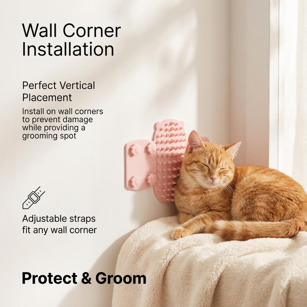 Auto-gromère de chat de 2pc