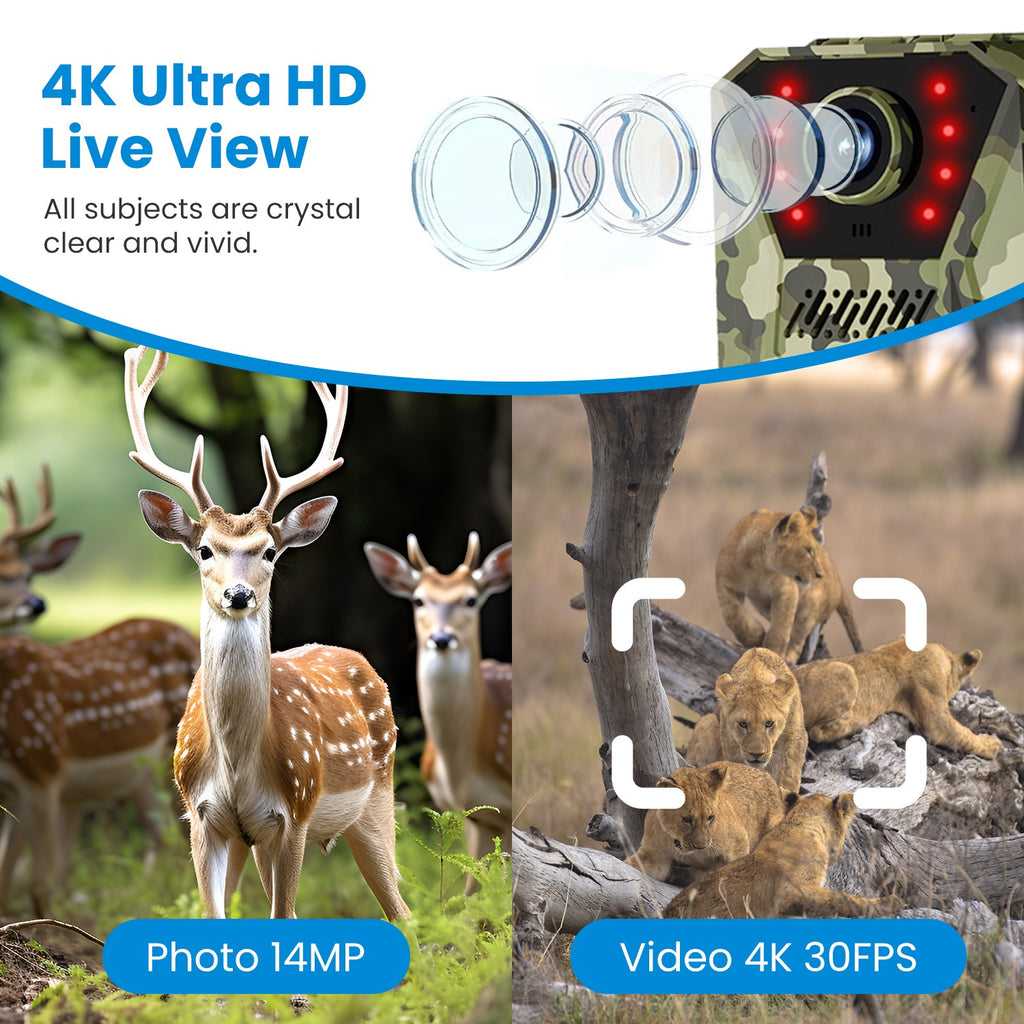 1Pc 4G 4K 30FPS Solar Trail Camera Outdoor Wildlife Camera Motion activé IP66 Waterproo