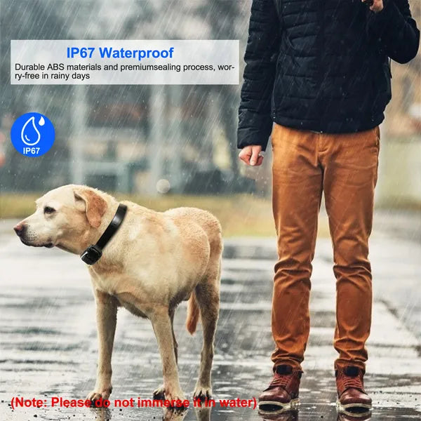 Récepteur de collier d'entraînement pour chiens IP67 étanche à l'eau